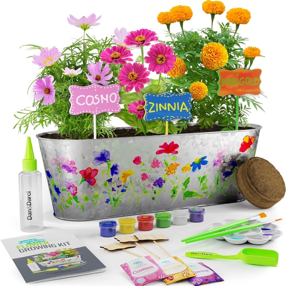 Paint & Plant Flower Growing Kit for Kids - Best Birthday Crafts Gifts